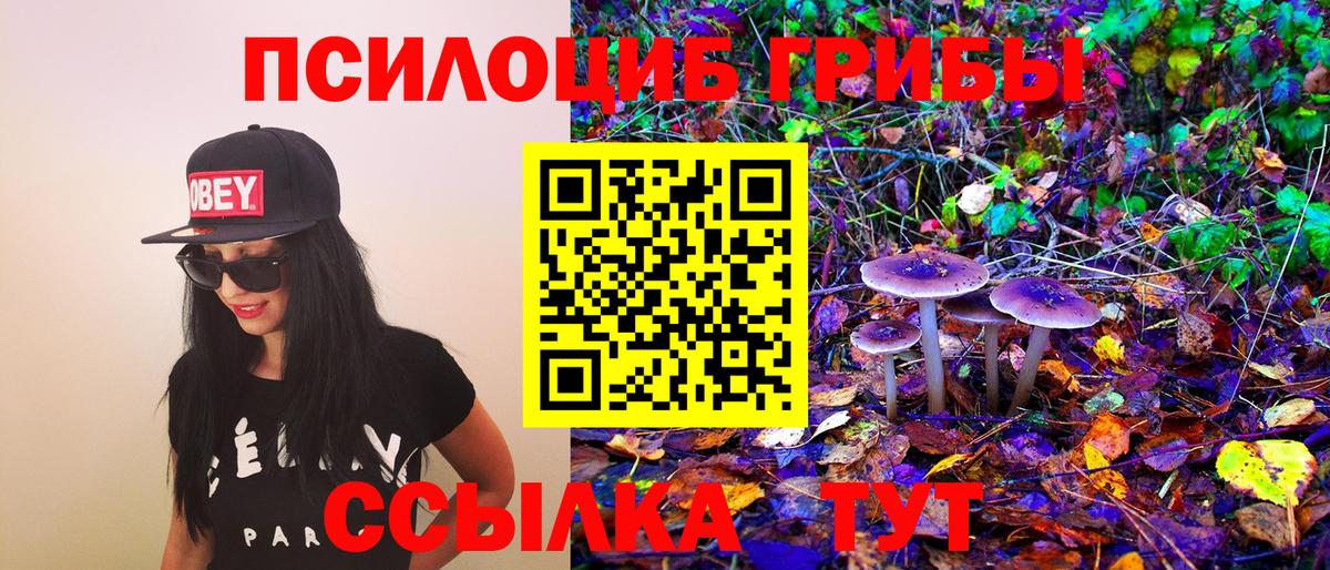 Галлюциногенные грибы мицелий Можга