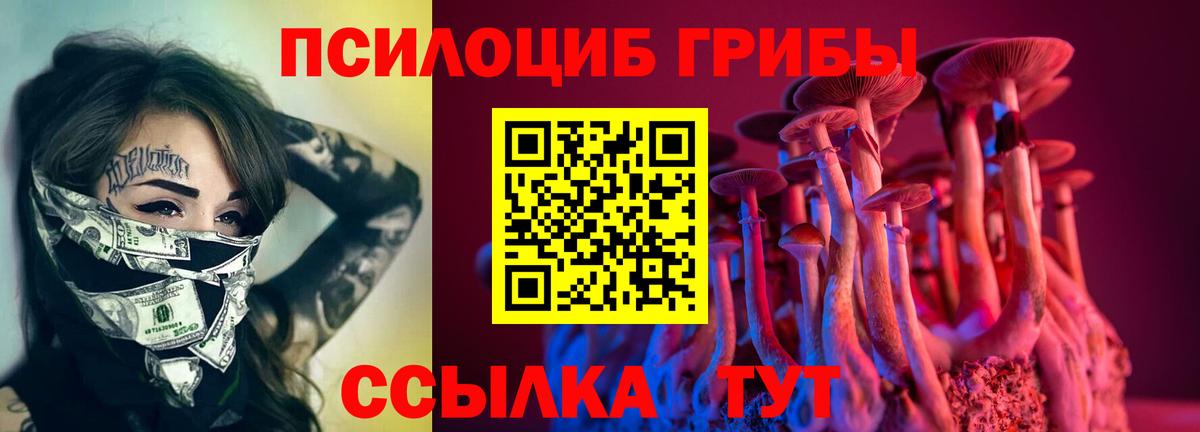 Псилоцибиновые грибы мицелий  Галлюциногенные грибы Cubensis  цены наркотик  Вход с VPN  Можга 